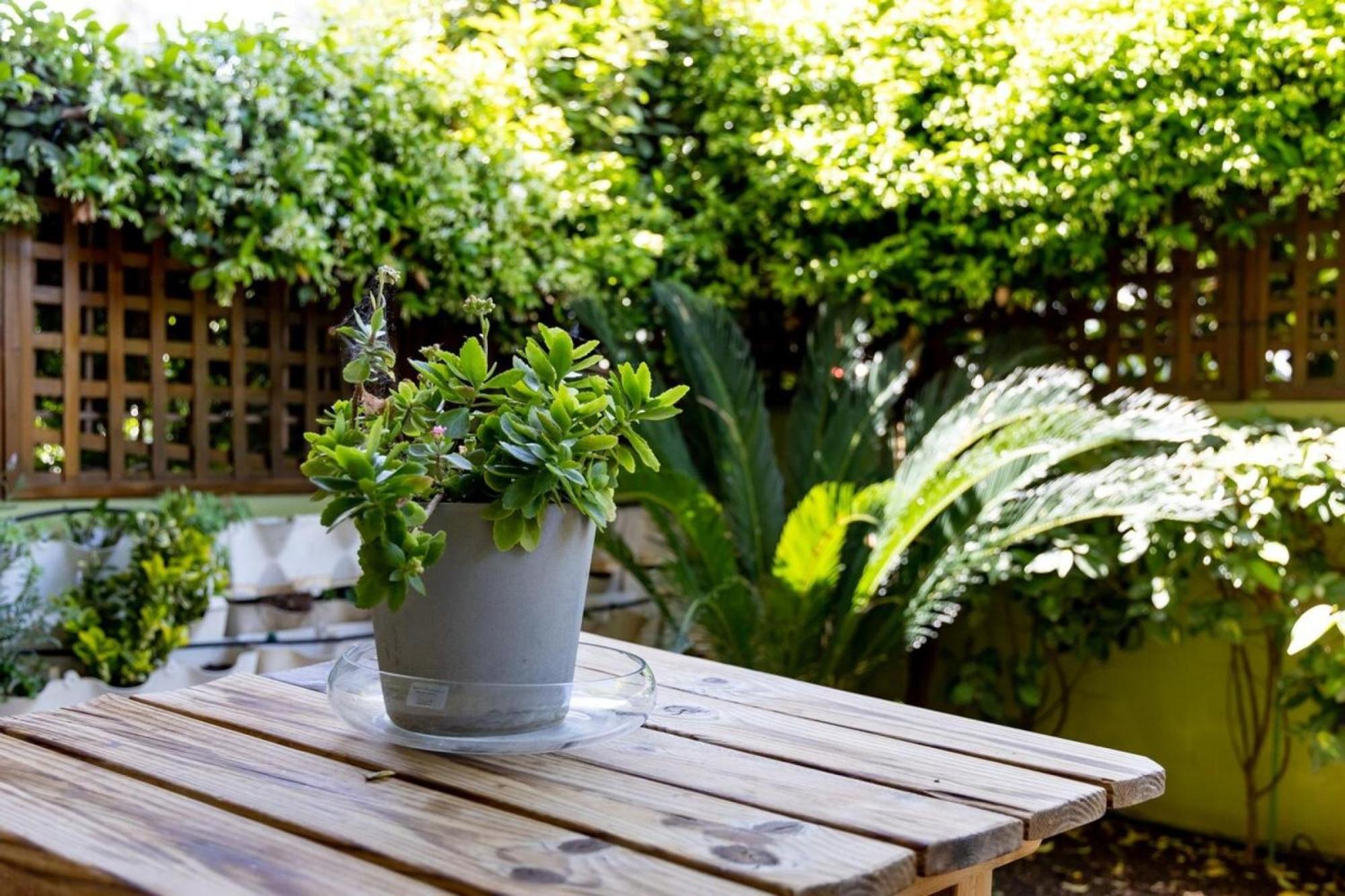 The Garden House At Alimos Apartment Athens Luaran gambar